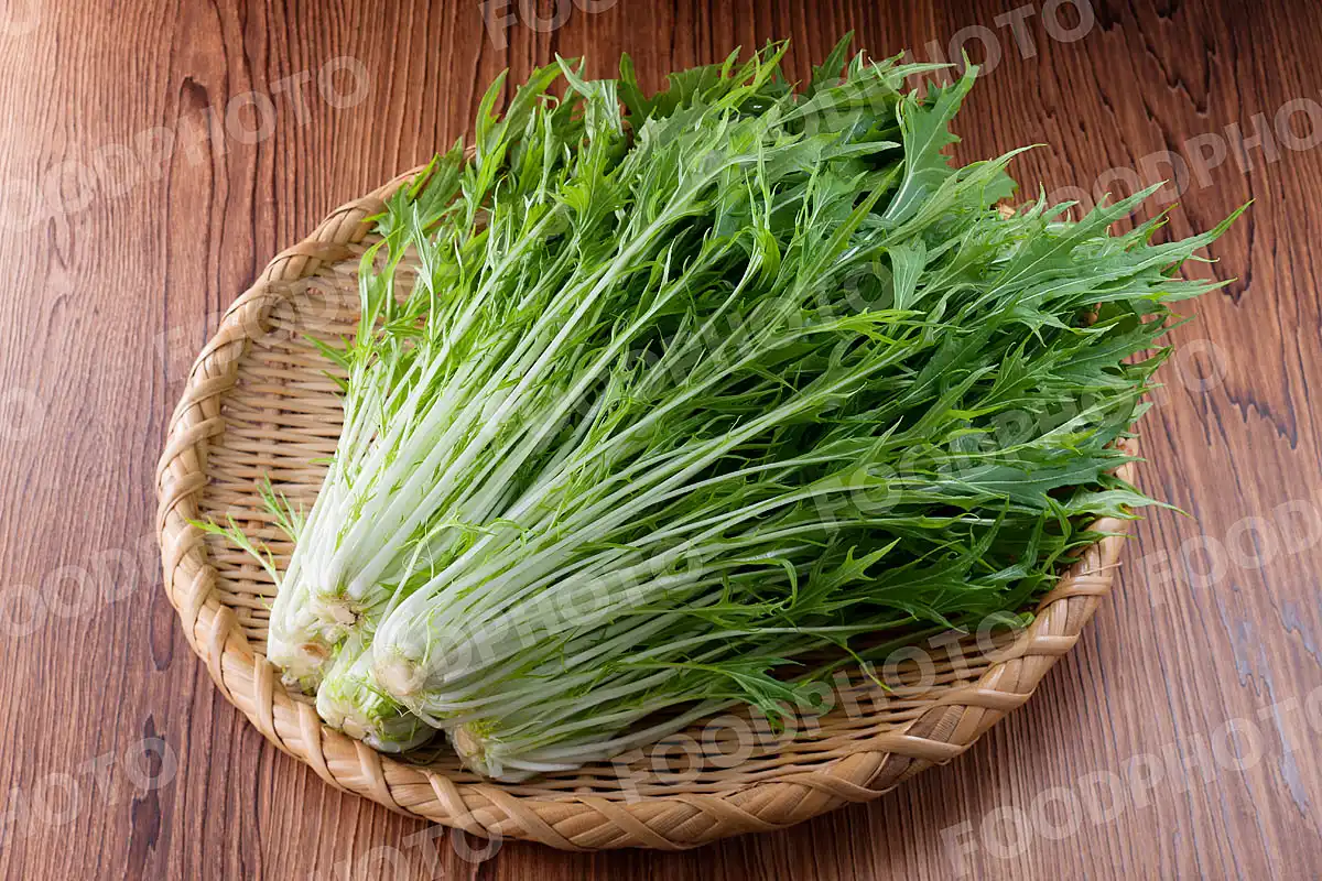 京野菜水菜