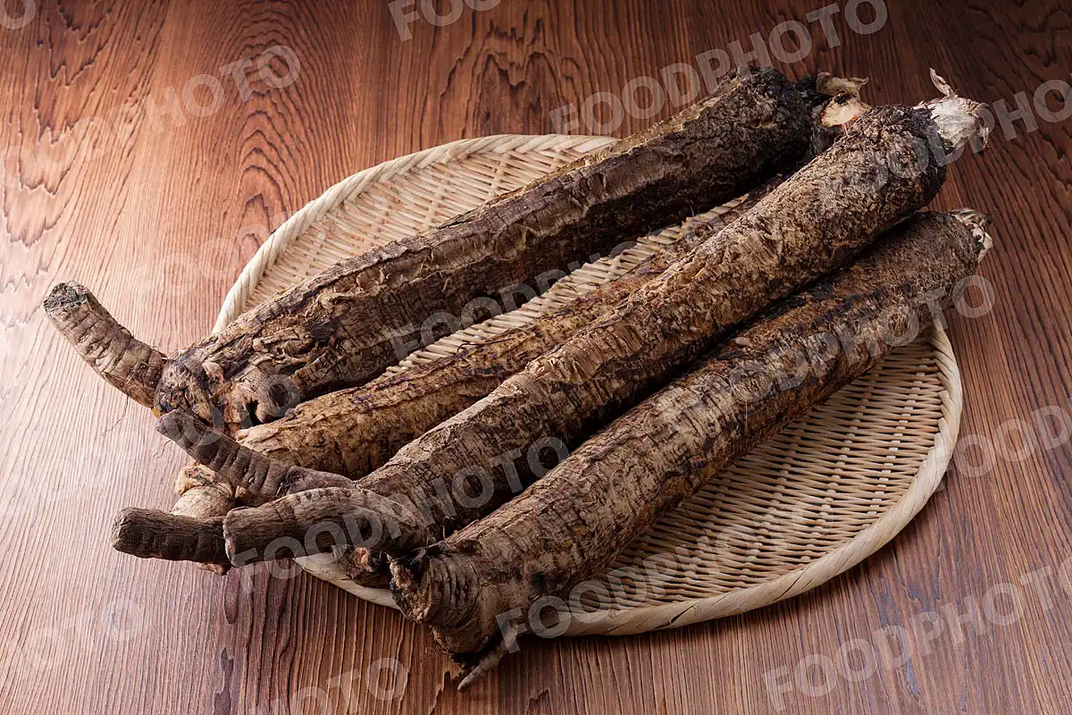 京野菜堀川ごぼう