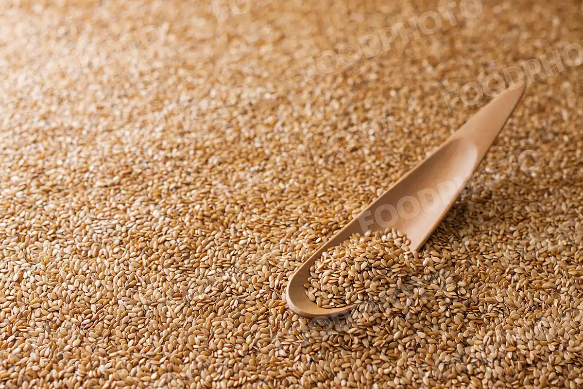 亜麻の種子（アマニオイルの原料）