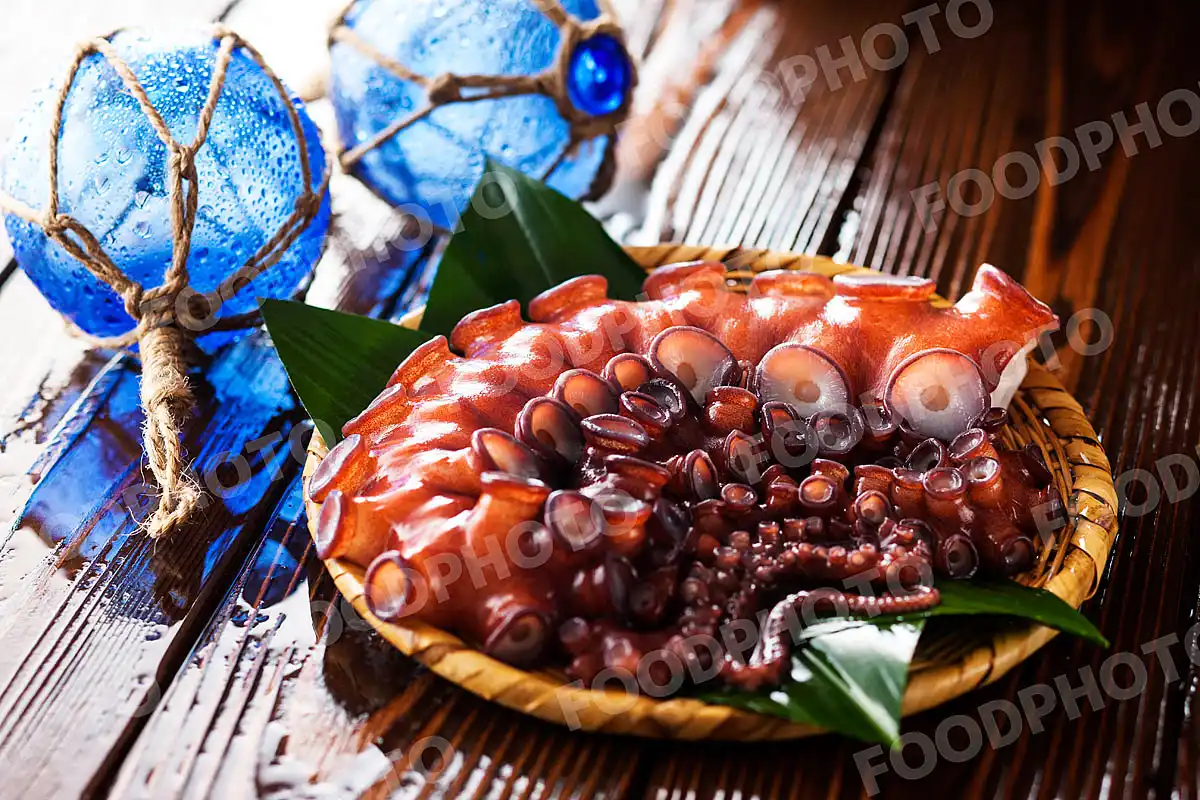 水蛸 / みずだこ