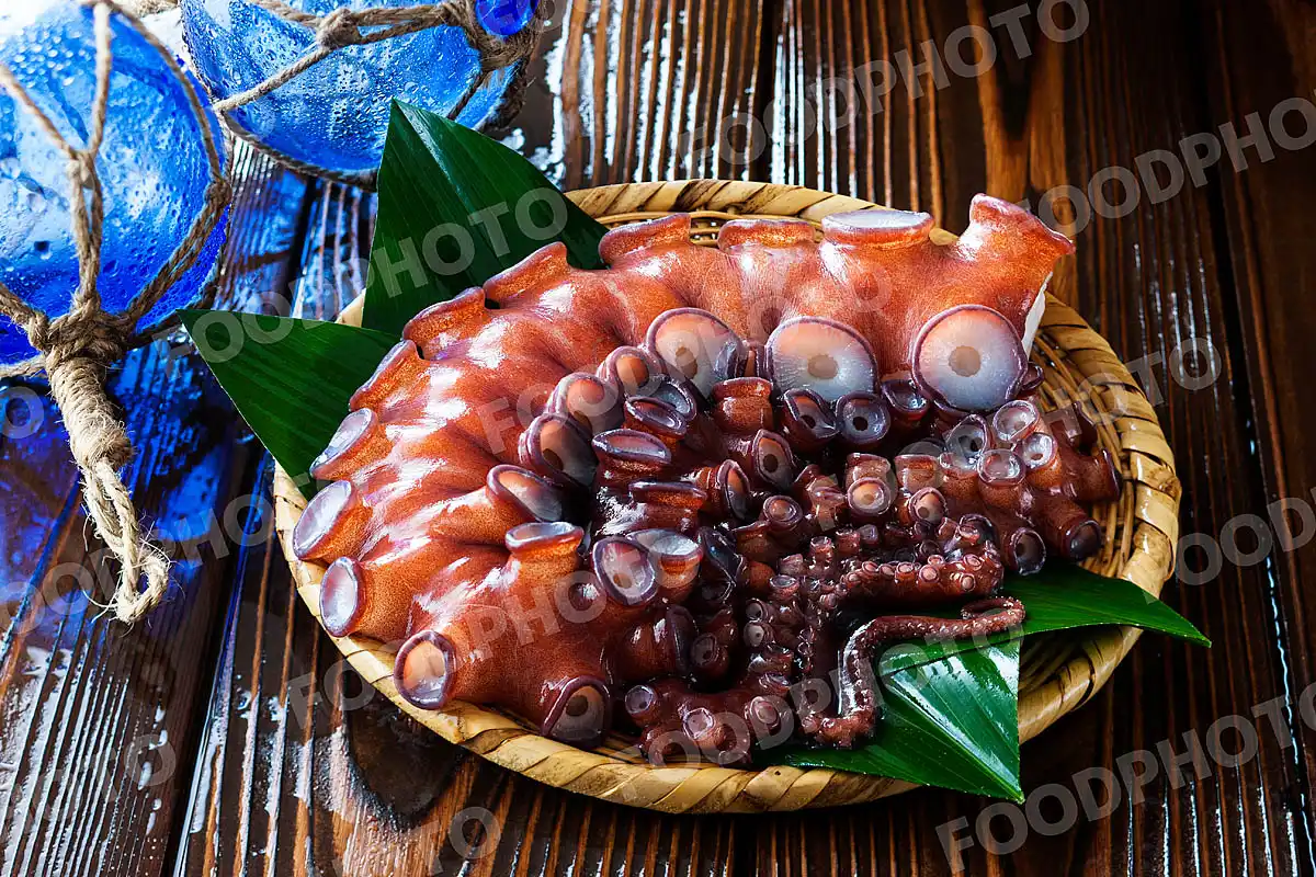 水蛸 / みずだこ