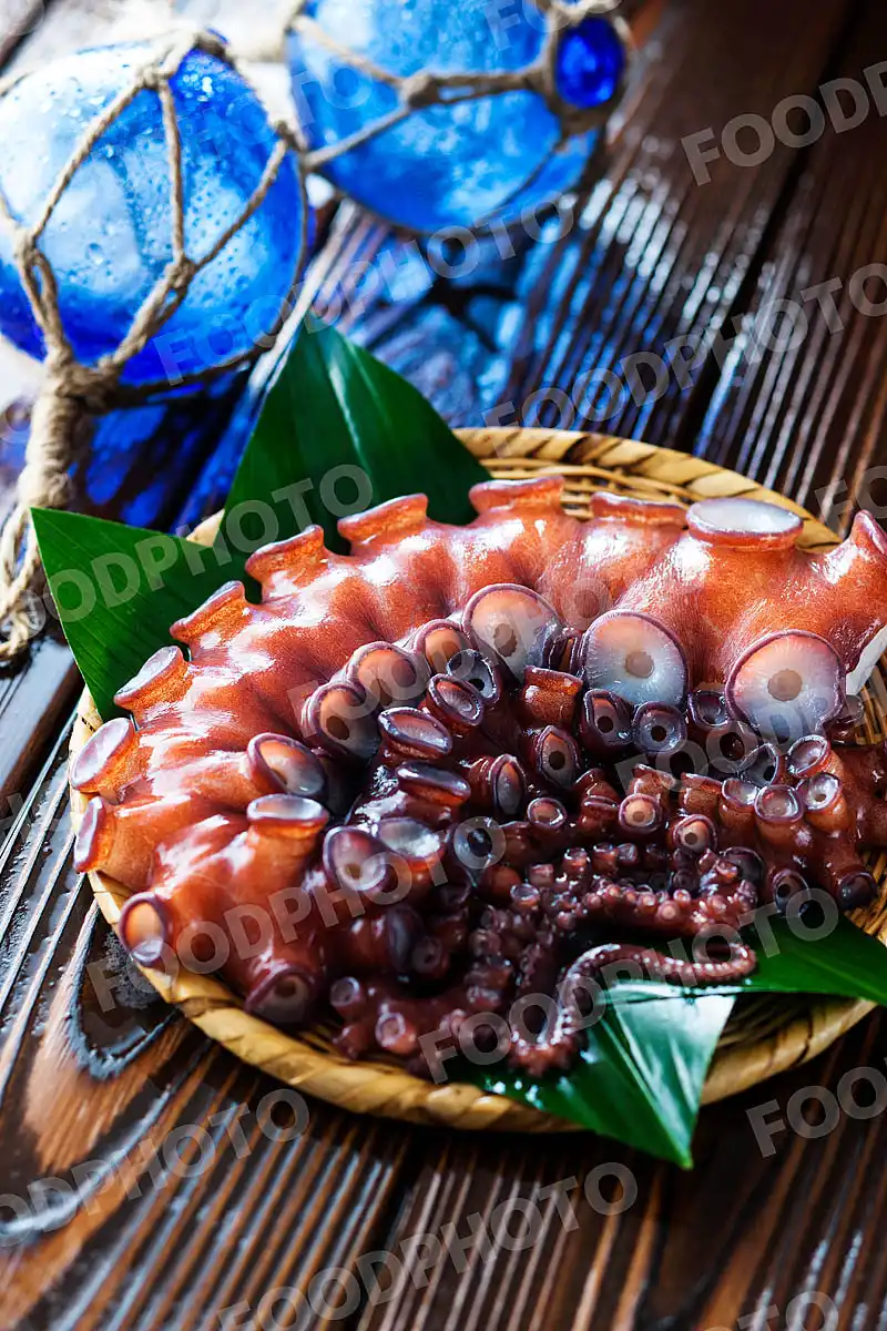 水蛸 / みずだこ