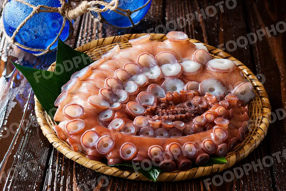 水蛸 / みずだこ