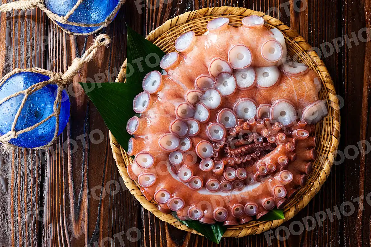 水蛸 / みずだこ