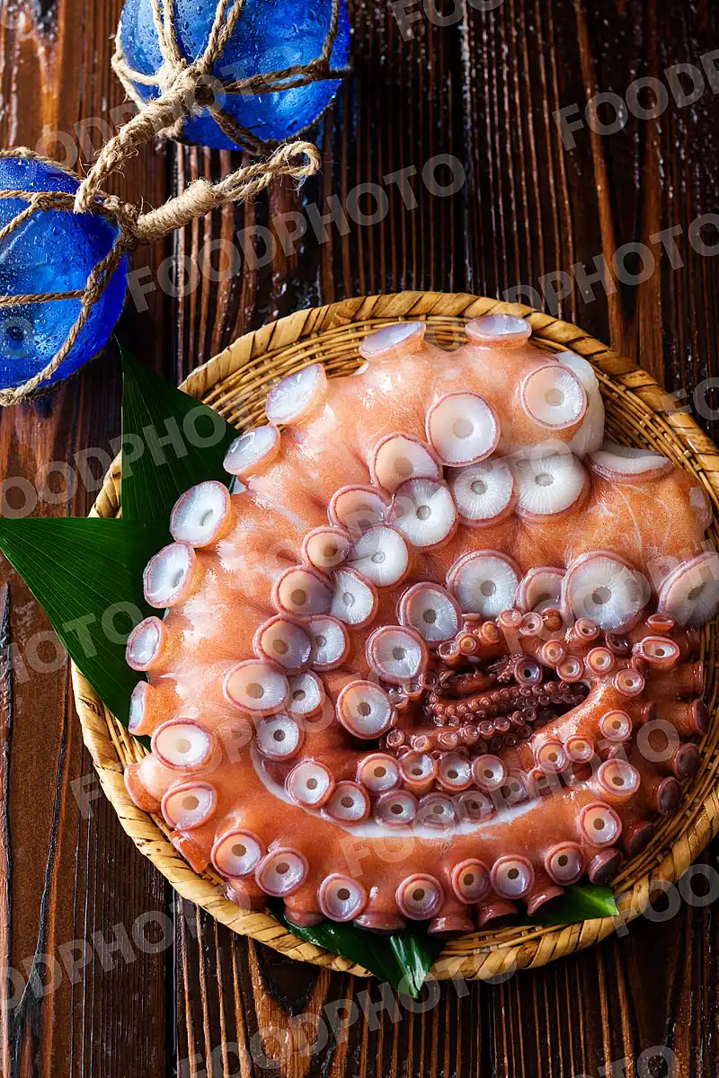 水蛸 / みずだこ