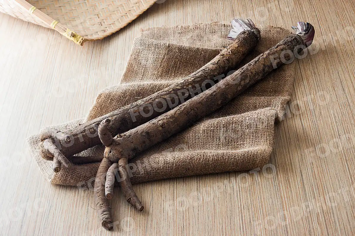 京野菜堀川ごぼう