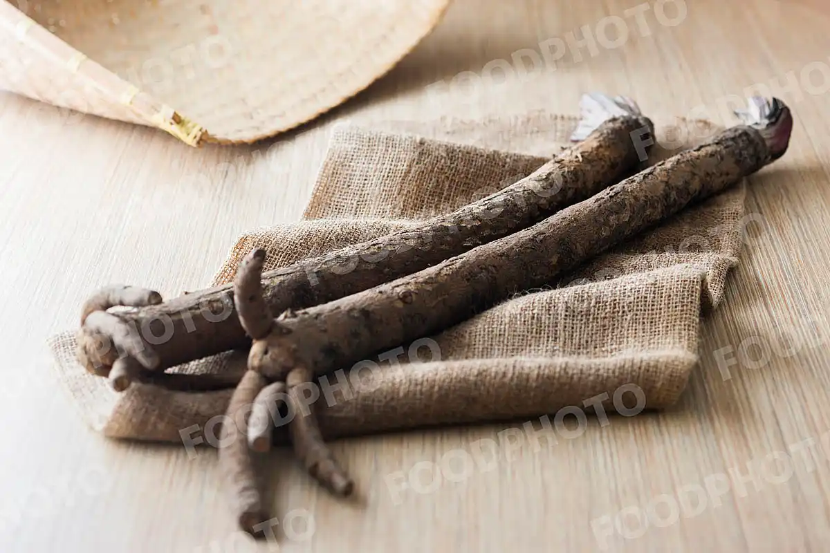 京野菜堀川ごぼう