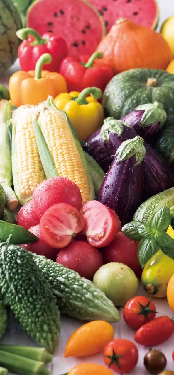 コンセプトページのヒーロー背景